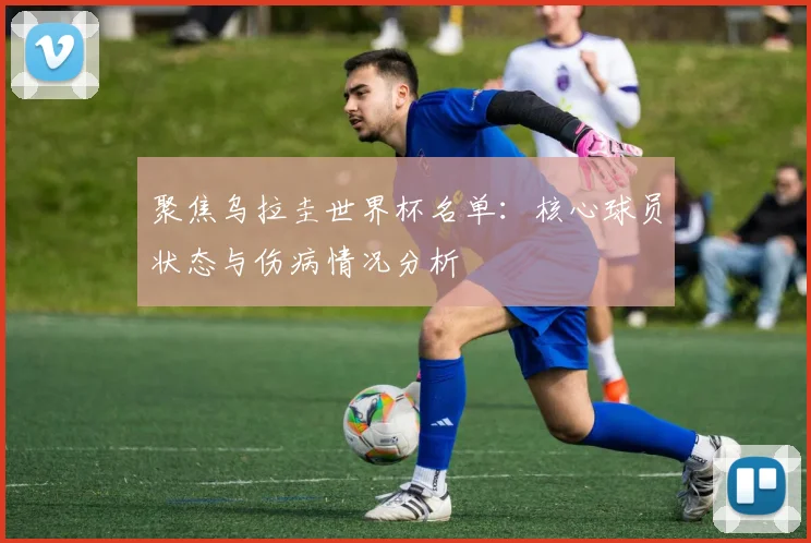 聚焦乌拉圭世界杯名单：核心球员状态与伤病情况分析